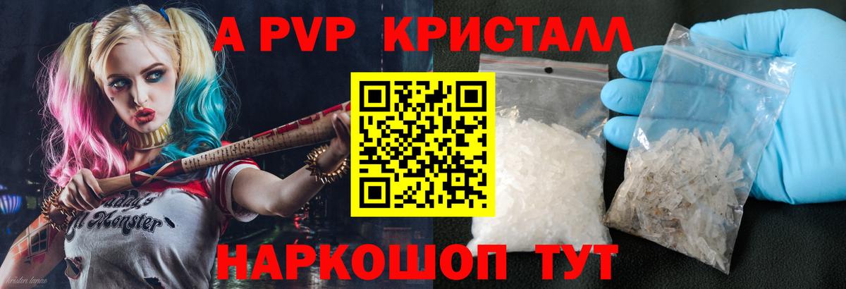 A PVP СК КРИС Красноярск