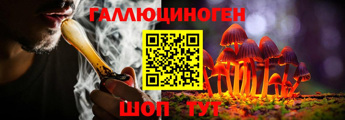Псилоцибиновые грибы GOLDEN TEACHER Красноярск