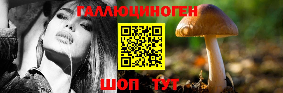 Галлюциногенные грибы GOLDEN TEACHER  Галлюциногенные грибы Cubensis  где купить наркоту  Вход с VPN  Красноярск 